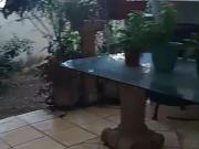 LOFT EN RENTA, LOMAS DEL PASEO RESIDENCIAL, MTY. N.L....