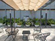 loft en renta nomad living zona country club