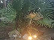 Loft in affitto a Roma via Cassia, 791, Tomba di Nerone