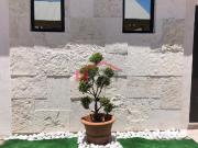 LOFT NUEVOS CON ALBERCA EN RENTA EN DERRAMADERO