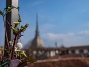 Loft / Open Space in affitto a Torino TO