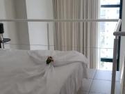 Loft para Locação em Salvador/BA Pituba 1 Quartos