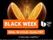 Loft / Ruhige Lage / Balkon