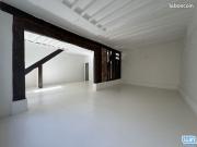 Loft/atelier/surface 1 pièce 55 m²