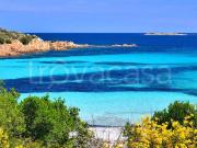 Loft/open space in affitto a Olbia via Sa Tazza, 16/18