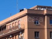 Loft/open space in vendita a Roma vicolo della Serpe,...