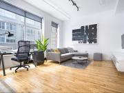 Lofts Clark Furnished 1 Bedroom Apartment for Rent at...