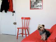 Logement à Paris, Location meublée Studio T1 Alésia PA 4808