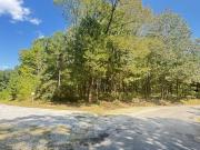 Logger Ln, Cedar Grove, Plot For Sale