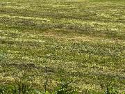 Loire les Marais 17870 Programme neuf terrain neuf à vendre