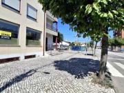 Loja Albergaria A Velha