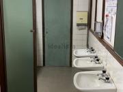 Loja, Avidos e Lagoa