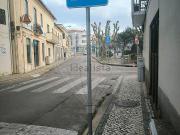 Loja, Cantanhede e Pocariça