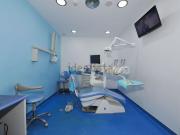 Loja, Carcavelos e Parede