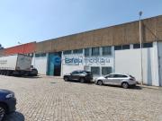 Loja, Castêlo da Maia