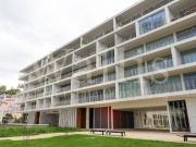 Loja com 62 m2 com extração de fumos no Edifício...