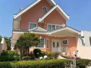 Loja / Comércio para Venda em Guarulhos/SP Jardim Maia