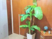 Loja / Comércio para Venda em São Paulo/SP República