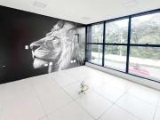 Loja / Comércio para Venda em São Paulo/SP Tucuruvi Loja / Comércio para Venda em São Paulo/SP Tucuruvi