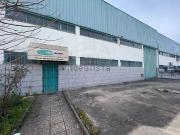 Loja, Coronado Loja, Coronado