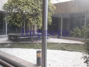 Loja em Lordelo do Ouro, Porto para arrendar