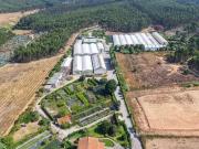 Loja / Estabelecimento Comercial em Ramalhal de 8000,00 m²