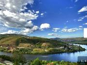 Loja / Estabelecimento Comercial T42 em Lamego Almacave...