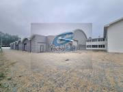 Loja, Nogueira e Silva Escura