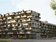 Loja para venda na Circunvalação 221m² São mamede de infesta