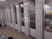 Loja térrea comercial para alugar em Santana 180m²...