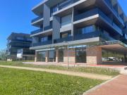 Loja, Viana do Castelo e Meadela