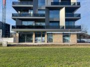 Loja, Viana do Castelo e Meadela