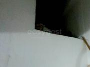 Loja/Estabelecimento, Almada, Cova Da Piedade, Pragal e...