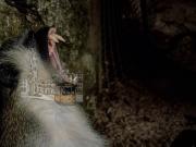 Loja/Estabelecimento, Cidade Da Maia, Maia | BPI...