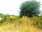 Loja/Estabelecimento, Geraz Do Lima Santa Maria, Santa...