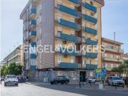 Loja/Estabelecimento, Montijo e Afonsoeiro, Montijo |...