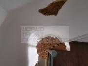 Loja/Estabelecimento, Santa Maria Maior, Lisboa | BPI...