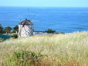 Loja/Estabelecimento, Viana Do Castelo Santa Maria Maior...
