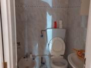 Loja/Estabelecimento, Vieira de Leiria, Marinha Grande |...