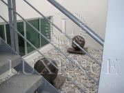 Loma Dorada, Santiago de Querétaro, Qro