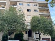 Lomar e Arcos Apartamento T4 Lomar e Arcos Apartamento T4