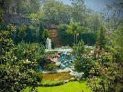 LOMAS COUNTRY CLUB, ROMANZA