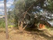 Lomas Country Club: Terreno residencial en venta en...