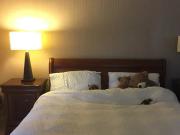 London, Coombe, ENGLAND, GB | Room for rent #153216188 |...