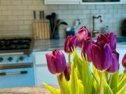 London, N19 4QN, United Kingdom | 3 bed house for rent...