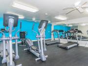 London Square/Blue Spruce 3BR/1BA Redwood