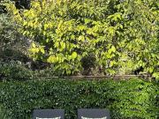 London, SW13 9NX, United Kingdom | 5 bed house for rent...