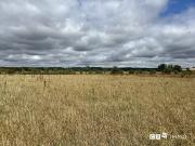 Longages 31410 Achat / Vente terrain