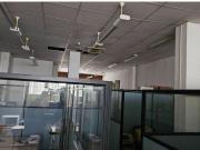 Lonja distribuida en despachos con buena altura