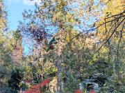 Lons le Saunier Vente Maison 39